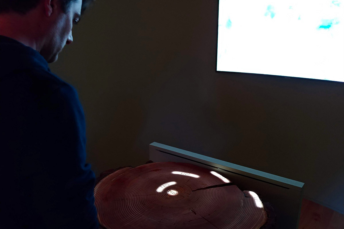 Visitatore osserva la sezione di tronco di larice illuminata con gli anelli datati