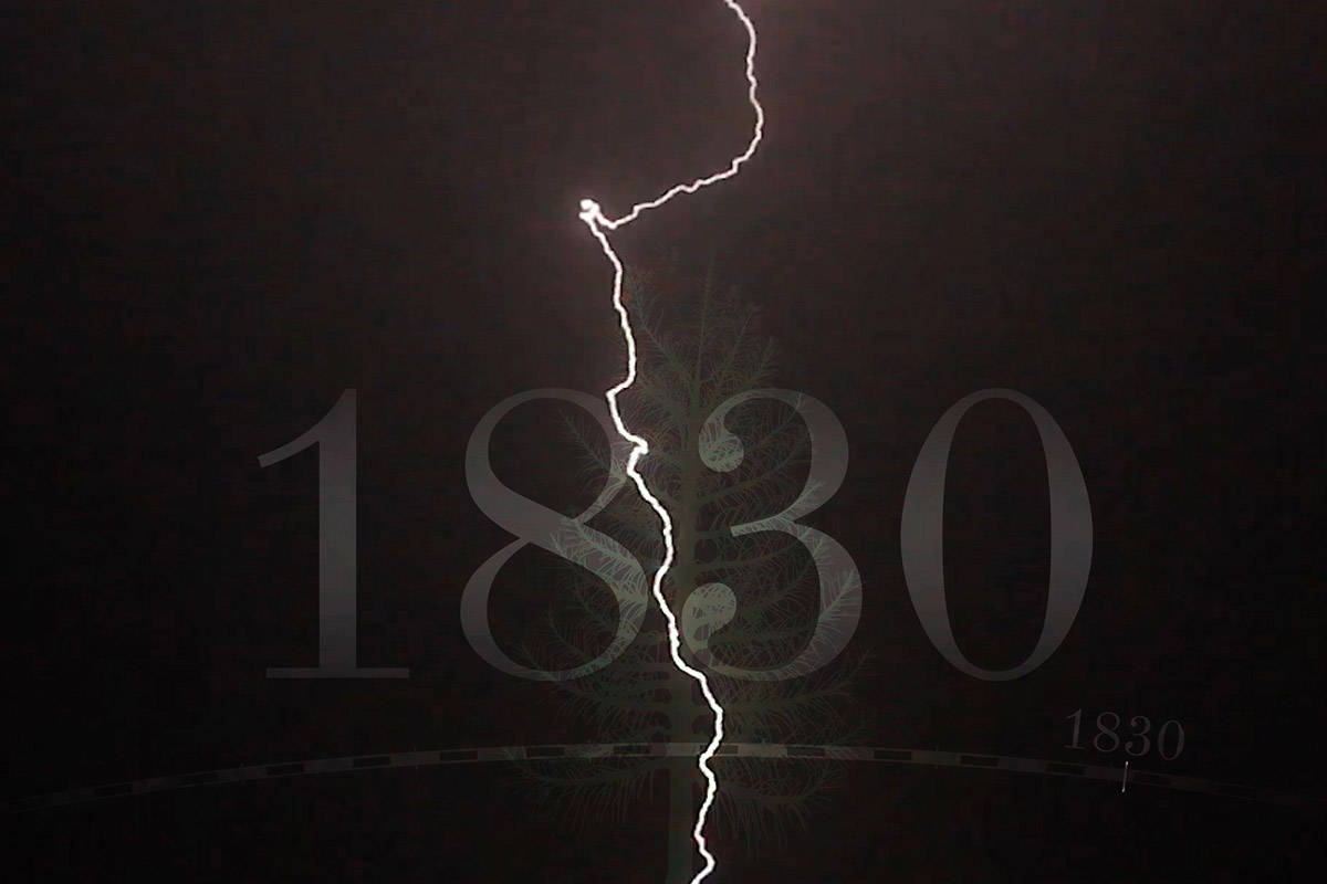 Fulmine colpisce un larice nel video dell'exhibit, con la data 1830 in sovrimpressione